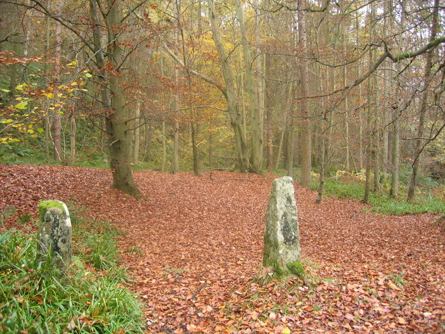 Dipton Woods in autumn
© Copyright Brian Norman and licensed for reuse under this Creative Commons Licence