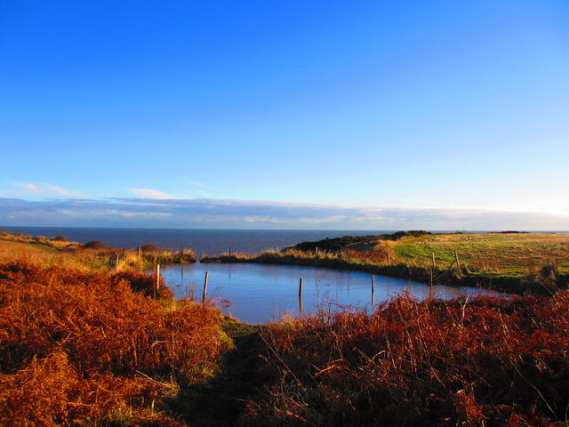 A small pond in front of the North Sea