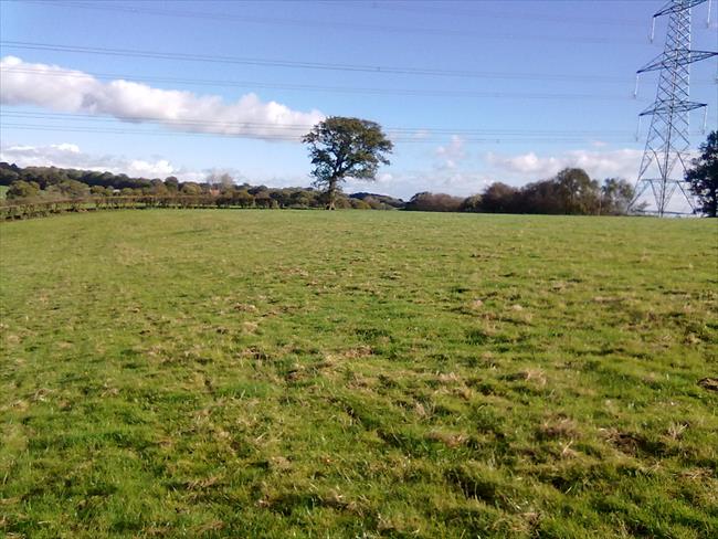 The view towards the pylon showing the incomplete hedge (with tree) on the left.  The path is between these two viewpoints.
