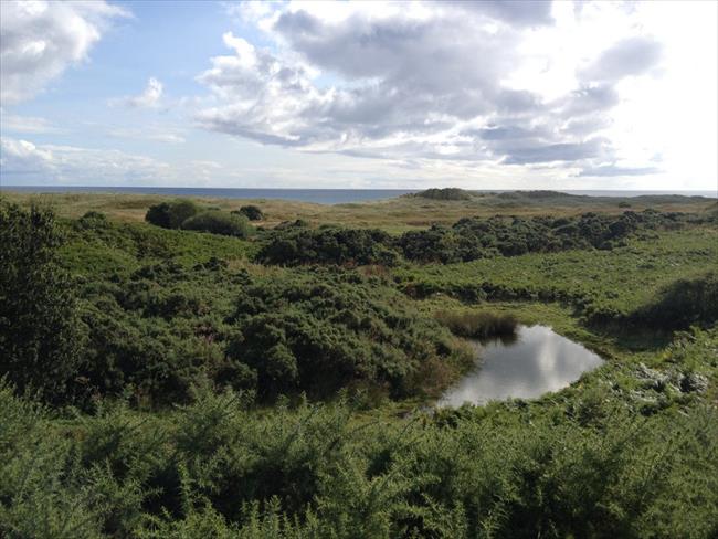 View of dunes in the Loch Fleet National Nature Reserve 