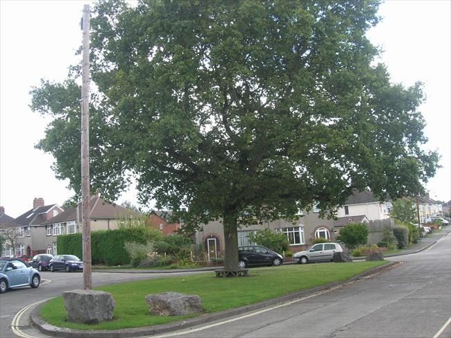 Tree with Seat