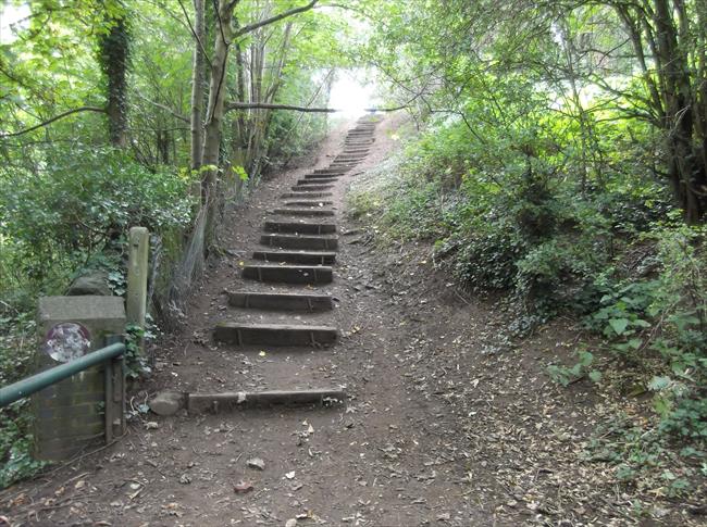 The Stairway to Rodway Common.