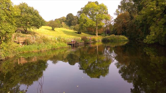 Lake in Old Sneed Park