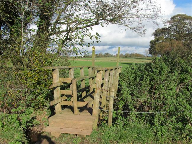 Crossing the River Clyst - for the first time