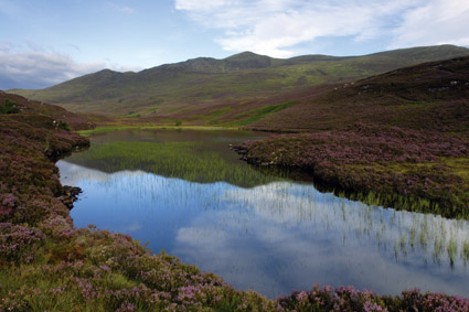 Beinn a Bha'ach Ard