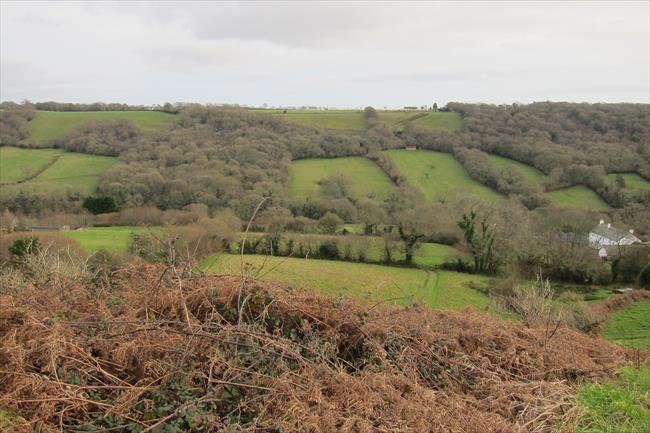 Overlooking the Roncombe Valley