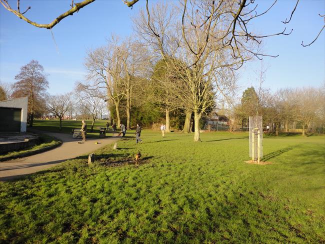 Horfield Common (SW corner) looking North towards Kellaway Avenue &amp; The Ardagh.