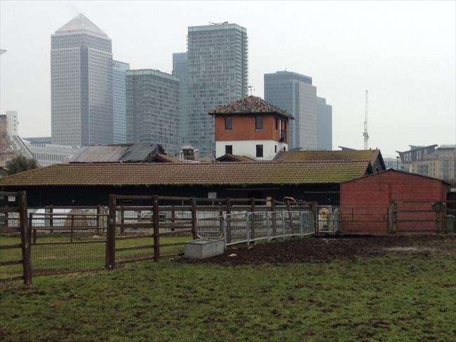 Surrey Docks Farm