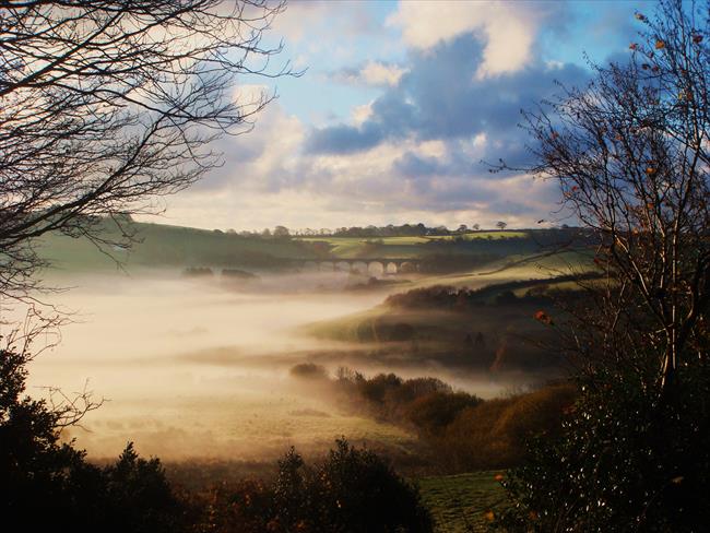Cannington Viaduct in the mist