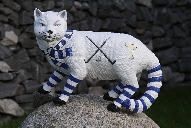 A wildcat model at Newtonmore Shinty Ground