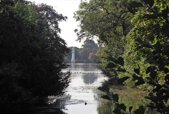 View from Wild Gardens Road south to the Scott Memorial