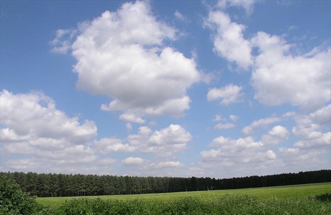 Arable field from waypoint 6