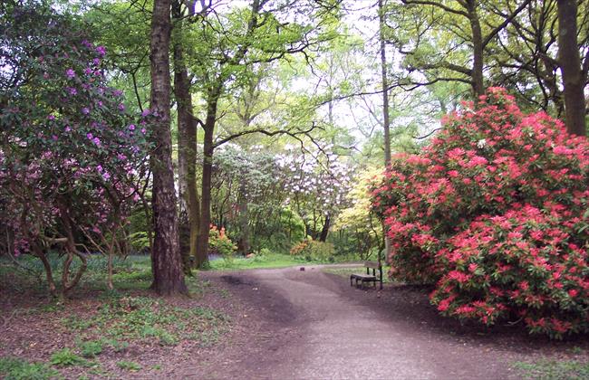 Cefn Onn Park in springtime