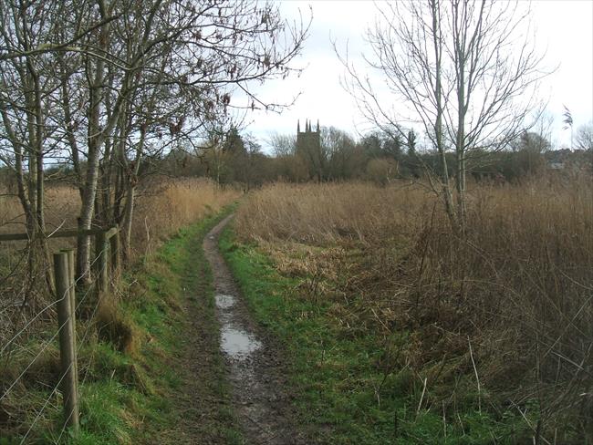 View across Freeman's Marsh