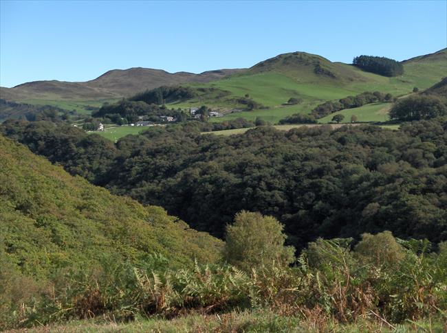 Vale of Rheidol