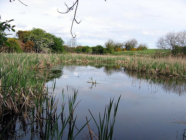 Pond by Hart Haswell railway