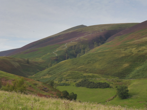 The path up Skiddaw seen from Latrigg
