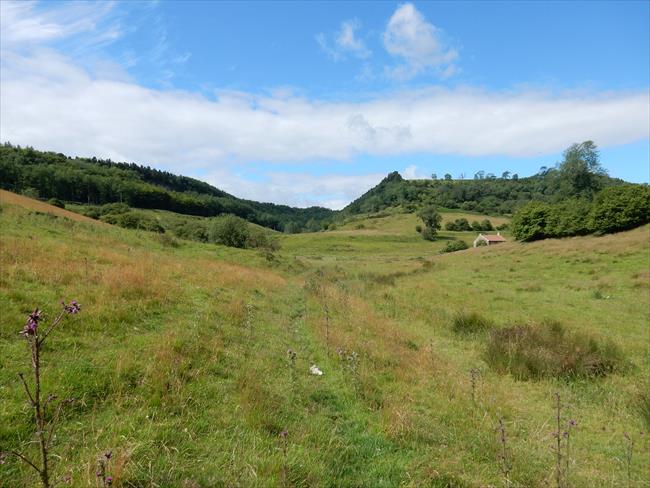 Looking towards Peak Scar Wood and, to the right, Gowerdale 