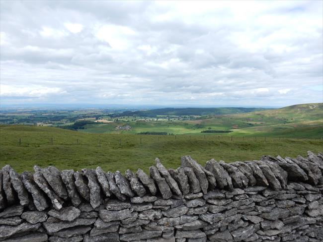 Looking west over Kepwick Moor 