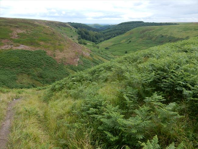About to descend into the top end of Thorodale 