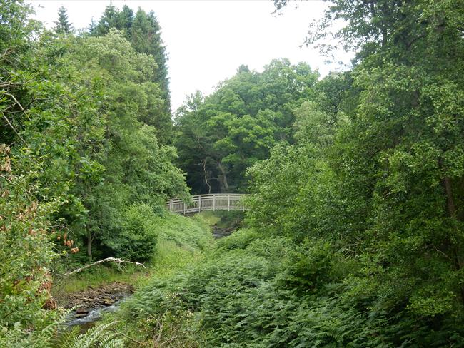 Ornate wooden bridge over River Rye 