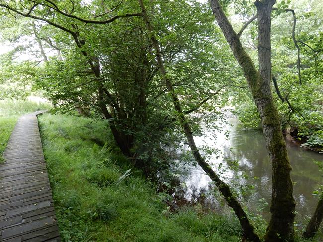 Board walk by River Rye 