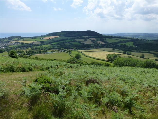 View from Fire Beacon Hill