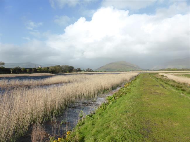 Dysynni valley, north of Tywyn