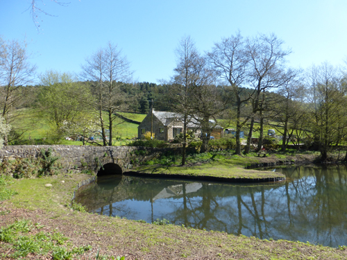 The Lower Millpond