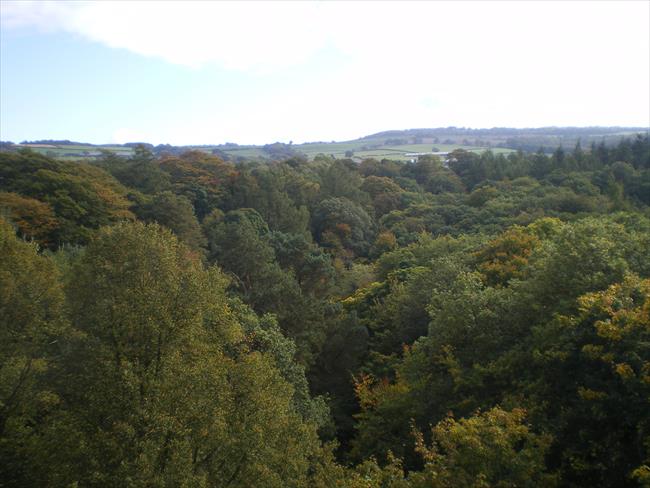 View from Derwent Walk viaduct 2