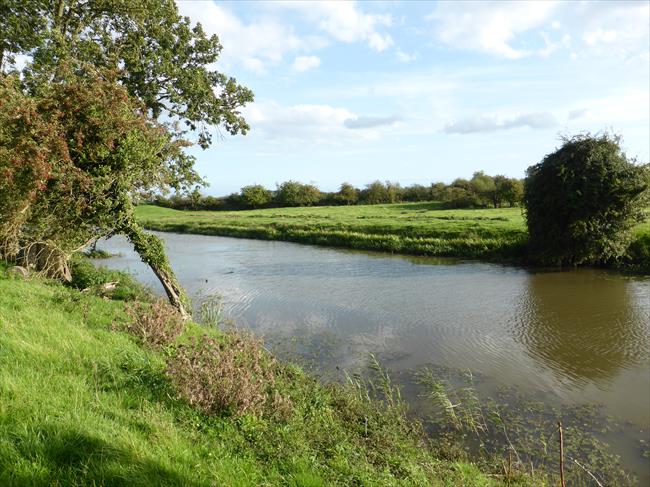 Royal Military Canal