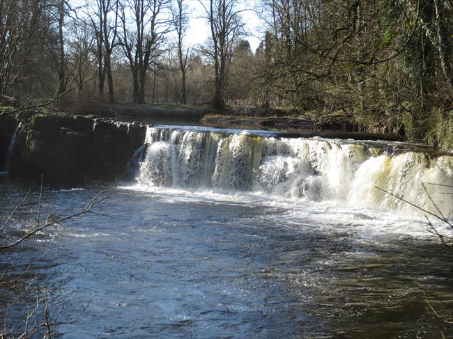 Linn Park Waterfall