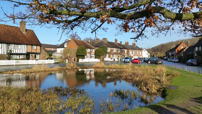 Aldbury Duck Pond