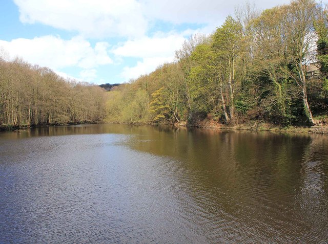 Wisewood Forge mill pond