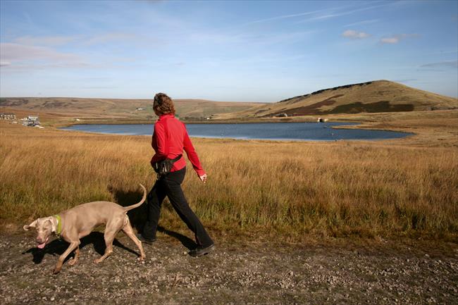 Saddleworth Moor