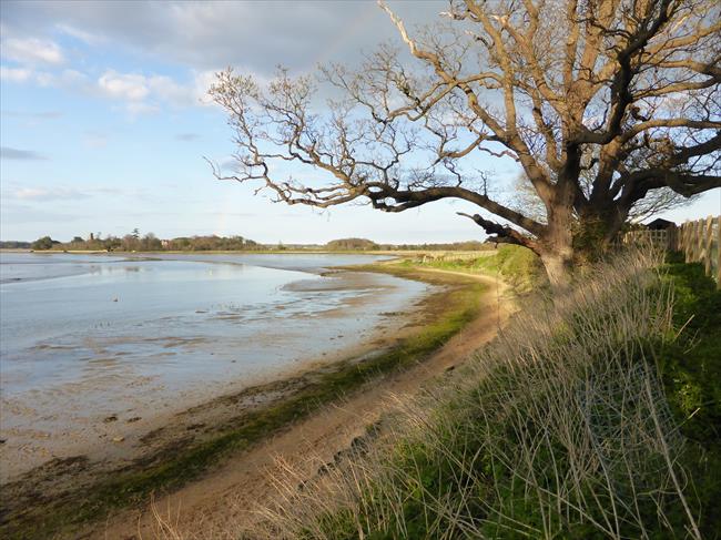 View from Iken Barns (Iken Cliff) across River Alde towards St Botolph's Church