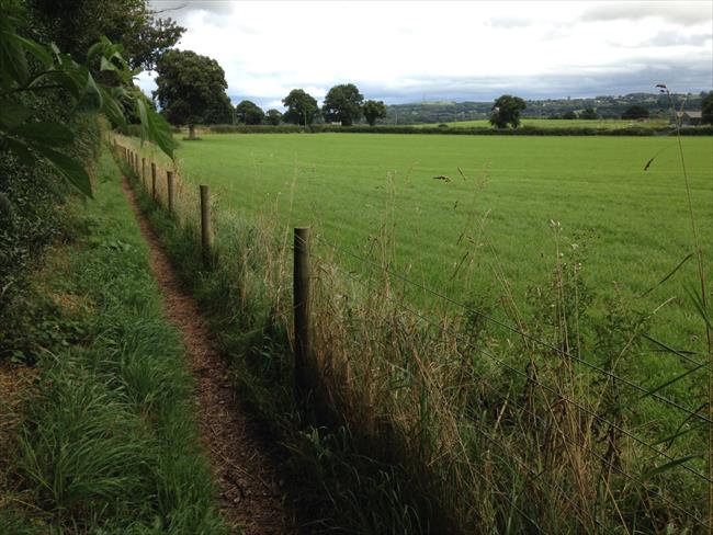 Sandstone Trail looking towards Delamere Forest and Pale Heights