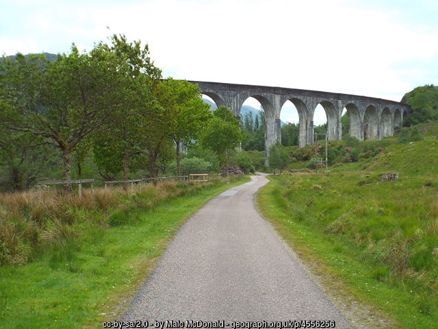 Private road up the glen as it goes under the viaduct.