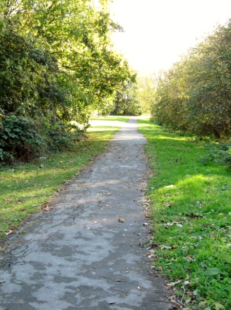 The leafy footpath alongside the River Cole, near Shaftesbury Lakes