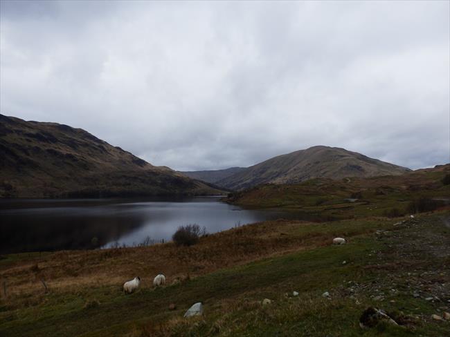 Glen Finglas