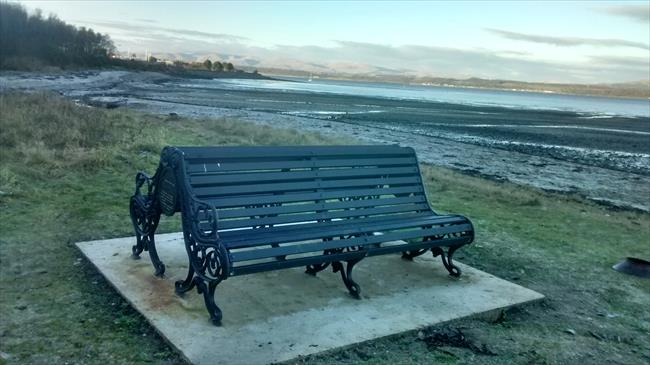 Bench at beach locally known as Crookies beach 