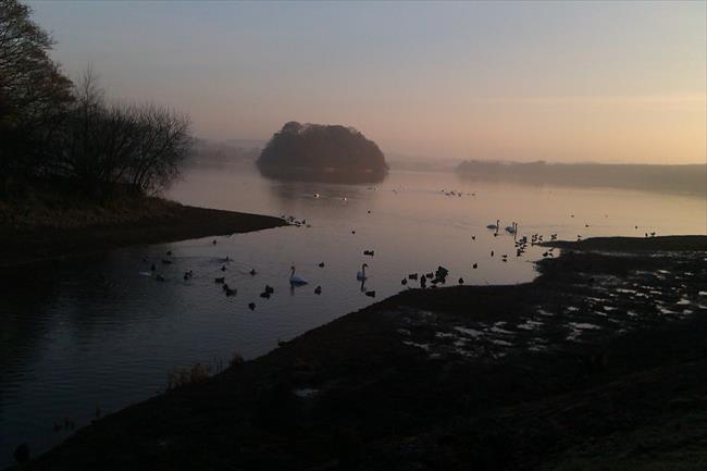 Gartmorn Dam by the Visitor Centre