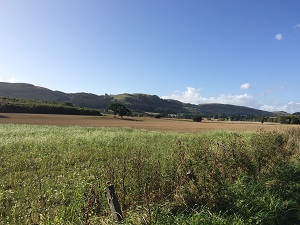 Looking south towards Glenearn Hill