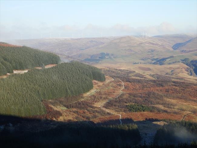 The path through Geordies Wood from Seamab