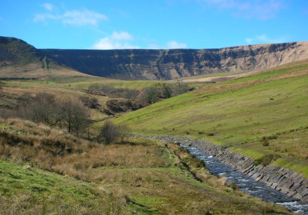 Looking up Cwm Parc