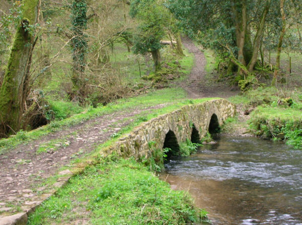 The 17th Century pack horse bridge over the Burry Pill