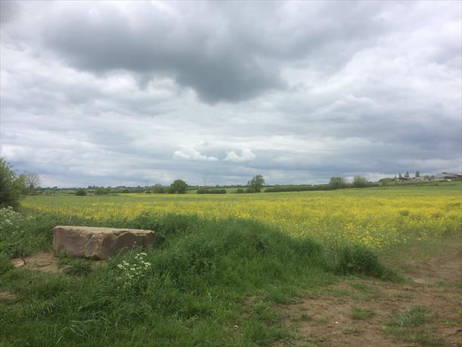 Looking across to Adwick village on the approach to Waymark 3