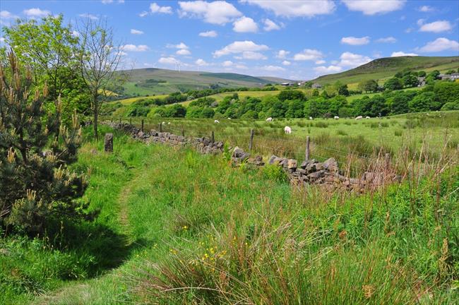 Todmorden walk - beside the golf course