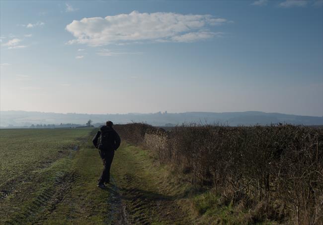 Circular walk from Stonesfield Oxon via North Leigh Roman Villa