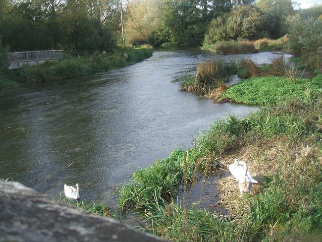 The river Kennet at Bath Road Bridge